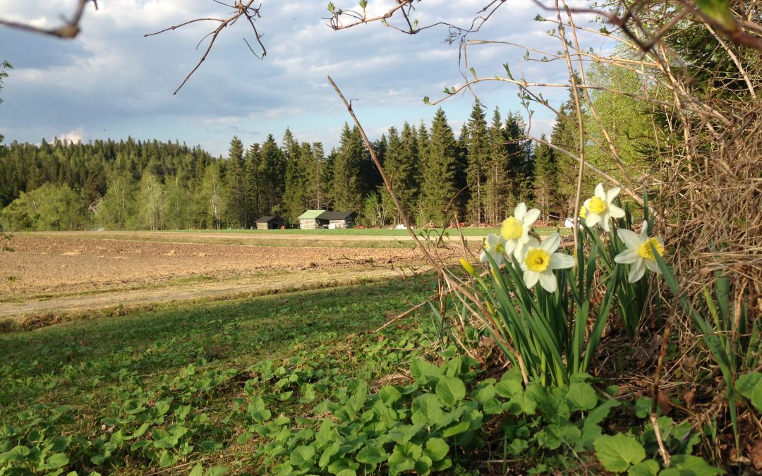 Kohti kestävämpää ja reilumpaa maataloutta -keskustelutilaisuus